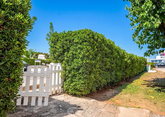 Apartment Biniforcat 28 *