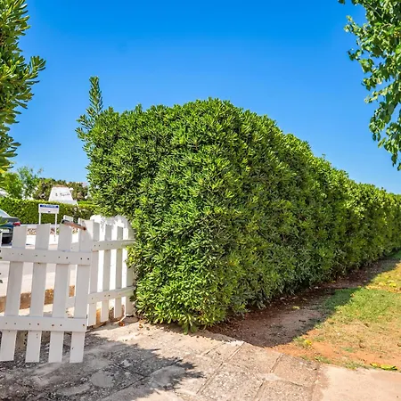 アパート Biniforcat 28 *